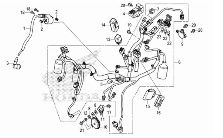 F-31 Wire Harness