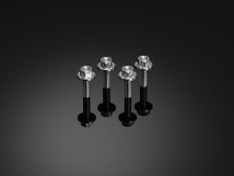 Stainless Bolt Set for Windshield (4 Pieces)