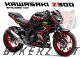 Complete 3M™ Decal Sticker Kit - AGV for Kawasaki Z300