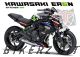 Kawasaki ER-6N Decal Sticker Kit-Movistar