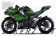 Complete 3M™ Decal Sticker Kit - FIAMM (Green) for Kawasaki Ninja 400