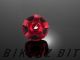 Rear Brake Reservoir Cover - Red