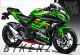 Kawasaki Ninja 300 Decal Sticker Kit - ZX3R