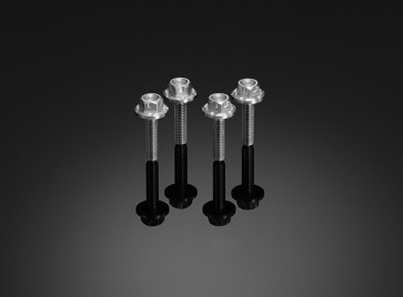 Stainless Bolt Set For Windshield