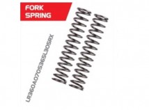 CB150R ('17) YSS Fork Spring Set