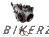 16410-KZZ-D21
