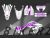 Complete 3M™ Honda CRF300L Decal - SKULL (Gray/Purple) (Euro and USA Headlight Cowl available)