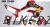 Honda CRF300L Decal Sticker Kit - ROCKSTAR