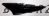 83550-K2S-T00ZF