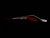 86771-MJW-DR0ZB