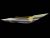 86772-MJV-J62ZA