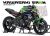 Kawasaki ER-6N Decal Sticker Kit-Movistar
