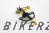 Adjustable License Plate Support - Light Gold