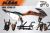 Decal Sticker Kit - EXC (Gray) for KTM Six Days (300tpi, 350exc-f, 500exc-f)